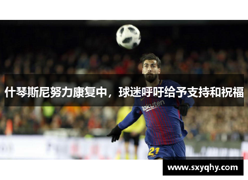 什琴斯尼努力康复中，球迷呼吁给予支持和祝福