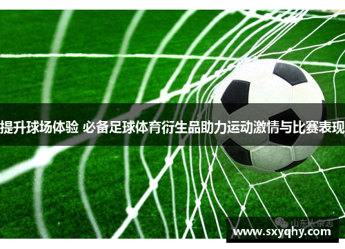 提升球场体验 必备足球体育衍生品助力运动激情与比赛表现