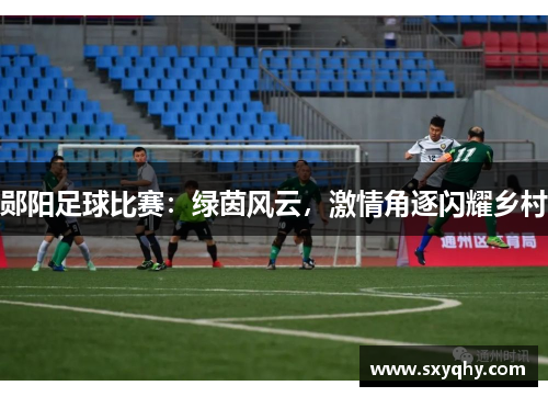郧阳足球比赛：绿茵风云，激情角逐闪耀乡村