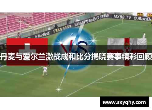 丹麦与爱尔兰激战成和比分揭晓赛事精彩回顾