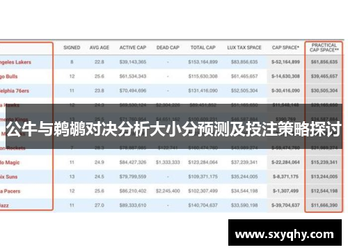 公牛与鹈鹕对决分析大小分预测及投注策略探讨