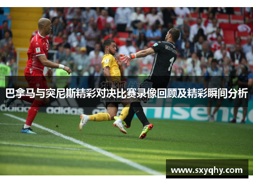 巴拿马与突尼斯精彩对决比赛录像回顾及精彩瞬间分析